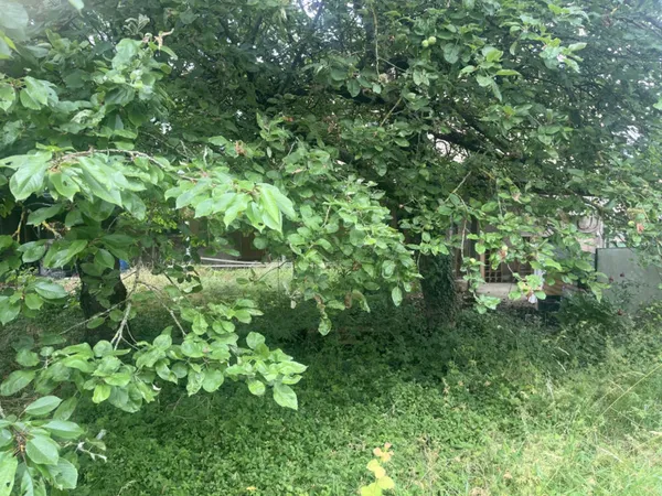 Terrain 250 m²