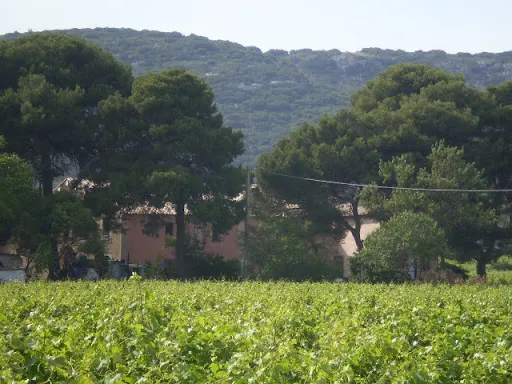 Propriété 10 pièces 180 m²