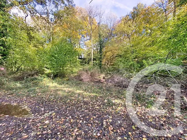 Terrain 3125 m²