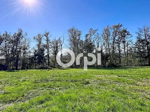 Terrain 2356 m²
