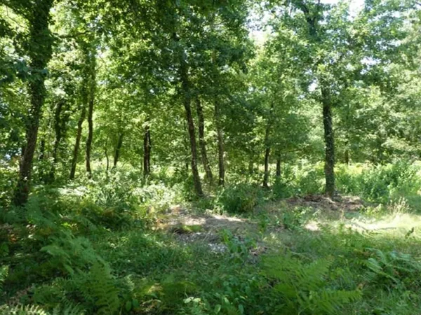 Terrain 612 m²