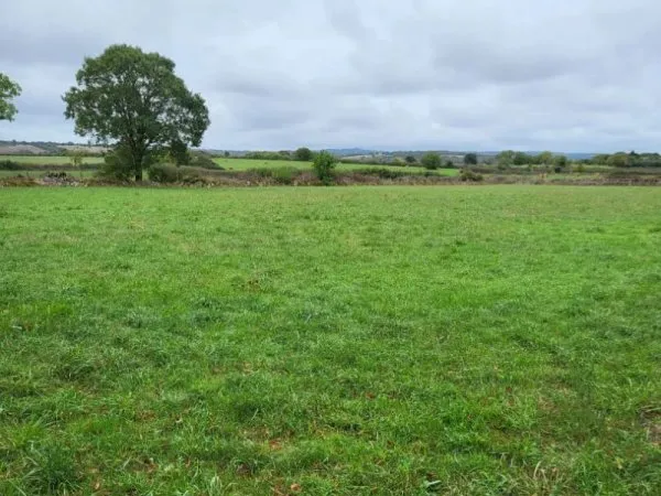 Terrain 2629 m²