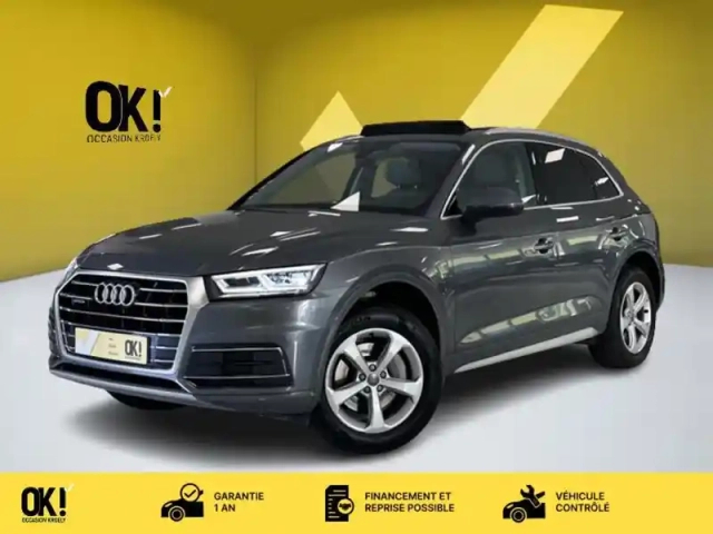 Audi Q5 2.0 tdi 163 design luxe quattr — photo 1