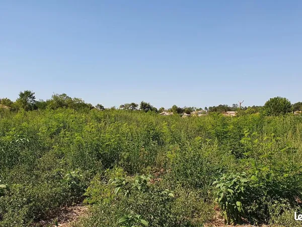 Terrain 630 m² Fargues Saint Hilaire