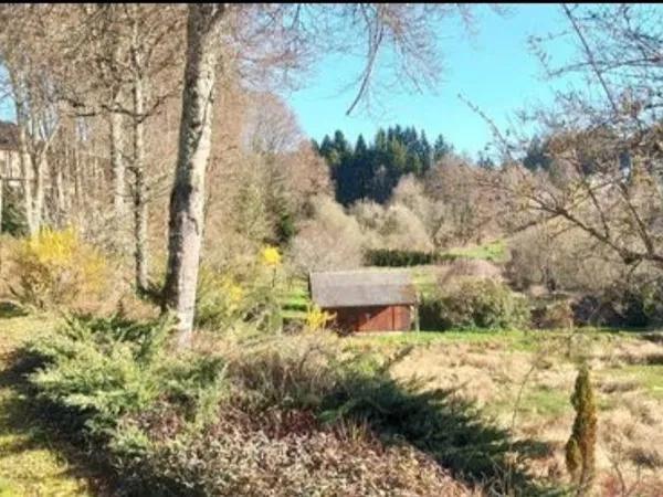 Studio sur terrain de 7000m2