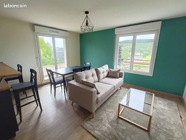 Appartement meublé avec vue sur les vignes à Épernay