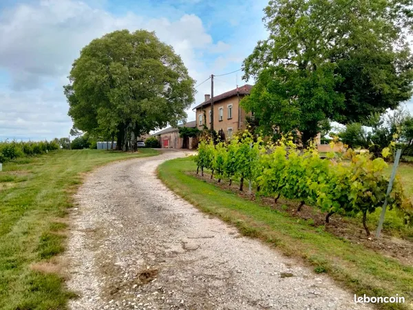 Maison, dependances, vignes