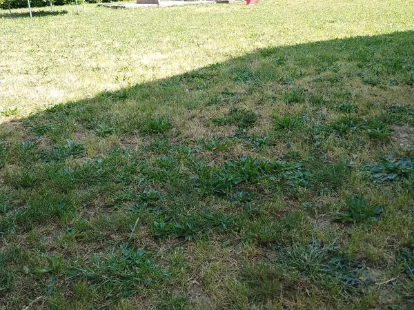 Villa 90 m2