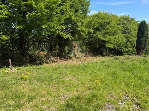 Terrain 648 m²