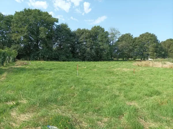 Terrain 559 m²