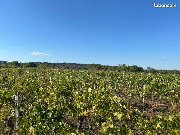 Bien agricole et foncier Vente Mâcon 100000€