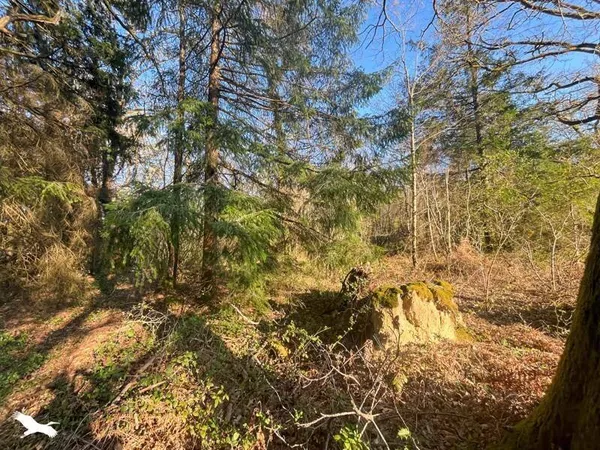 Terrain 10000 m²