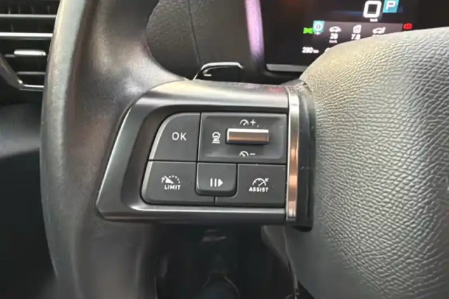 Citroën C4 puretech 130 s&amp;s eat8 — photo 120