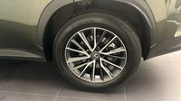 Lexus Nx 450h+ Luxe 4WD MY24 — photo 20