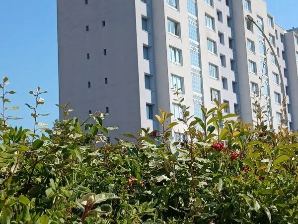 Appartement T1 bis 27m2 1er étage