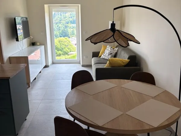 Appartement T2 neuf à louer