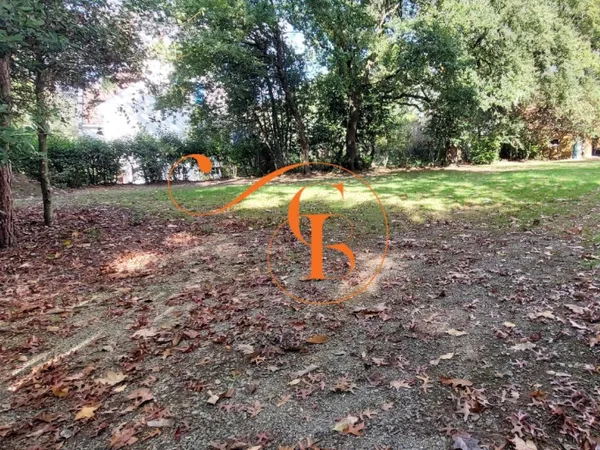 Terrain constructible