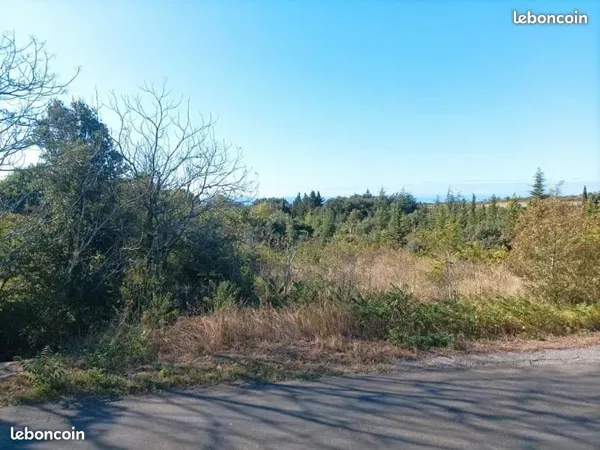 TERRAIN CONSTRUCTIBLE 7370 m2