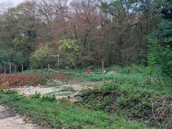 Parcelle forêt