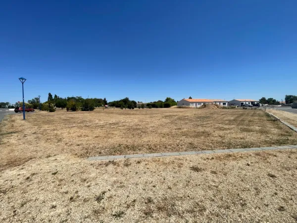 Terrain 803 m²