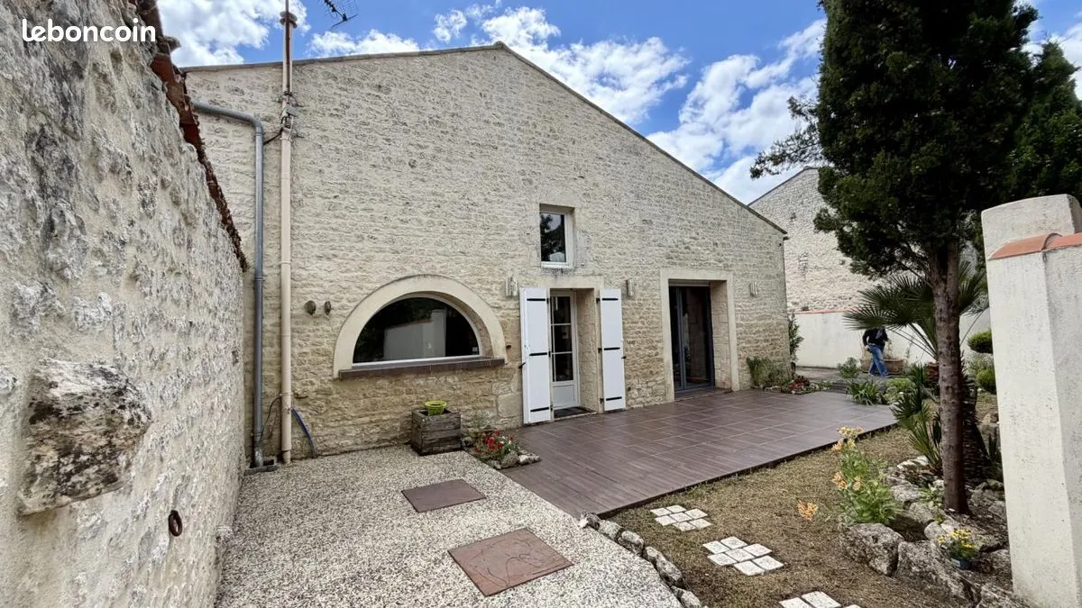 Photo 19