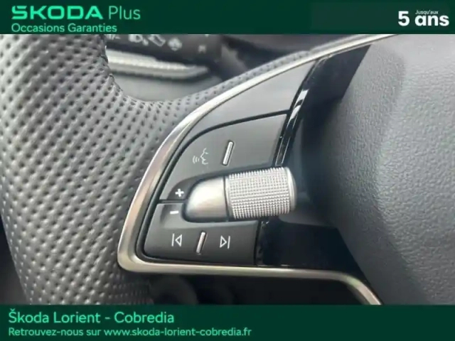 Skoda Fabia 1.0 tsi evo2 95ch monte carlo — photo 14
