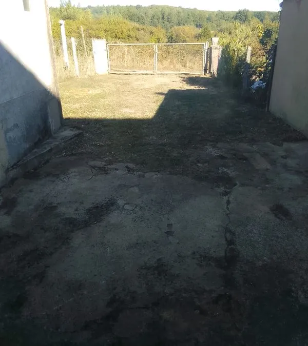Photo 3