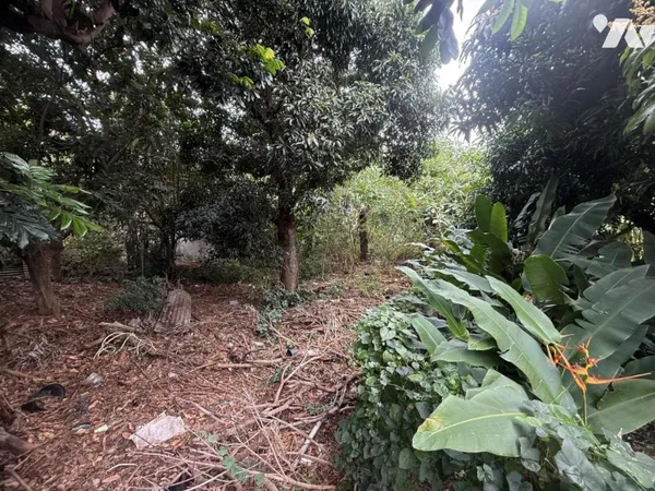 Terrain 1290 m²