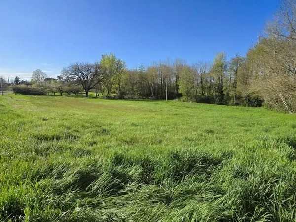 Terrain à bâtir Vente Cintegabelle  3972m² 99000€