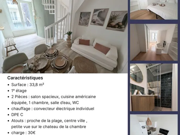F2 duplex meublé - Centre-ville - 33,8 m²