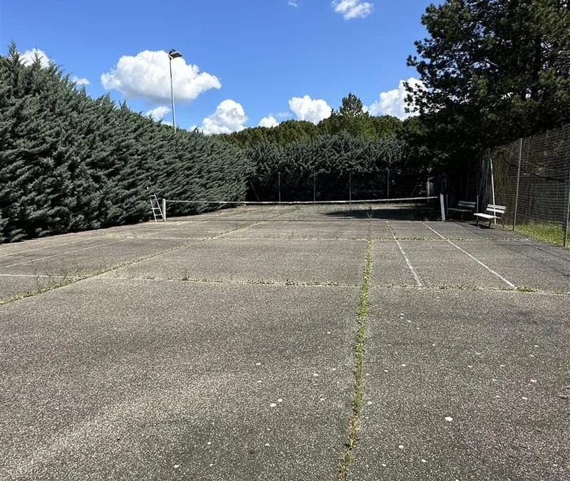 Photo 8