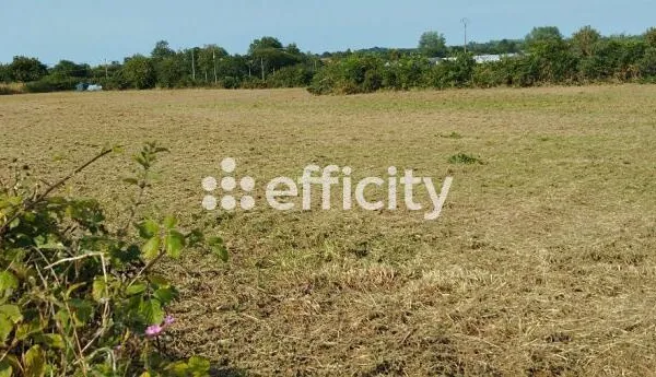 Terrain 4678 m²