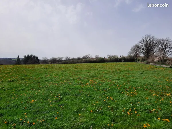 Terrain 1 500 m² Roannes Saint Mary