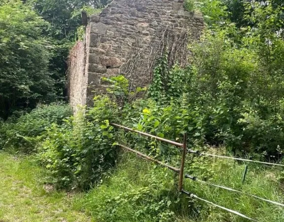 Local d'activités