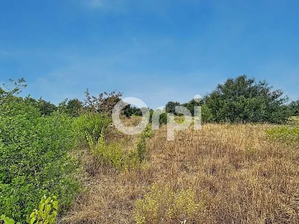 Terrain 19170 m²