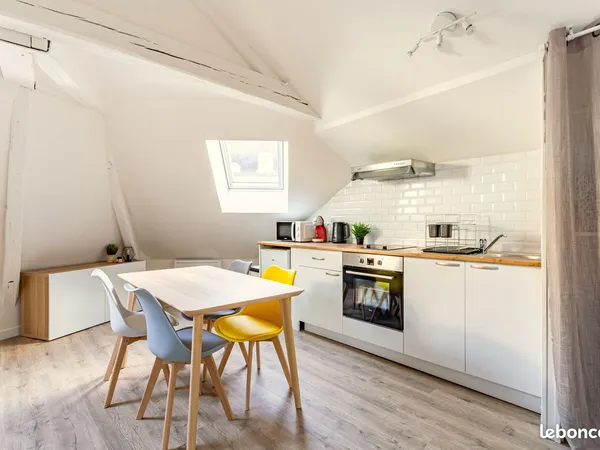 🏠 Appartement meublé - Hyper centre Le Mans - 23 m² Carrez / 41 m² au sol
