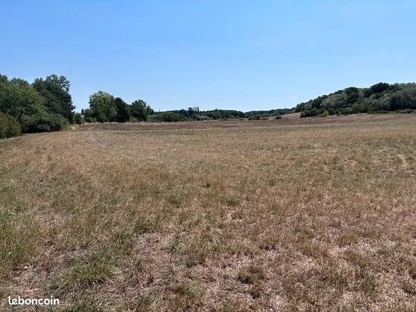 Terrain 11010 m² SAINT NAUPHARY
