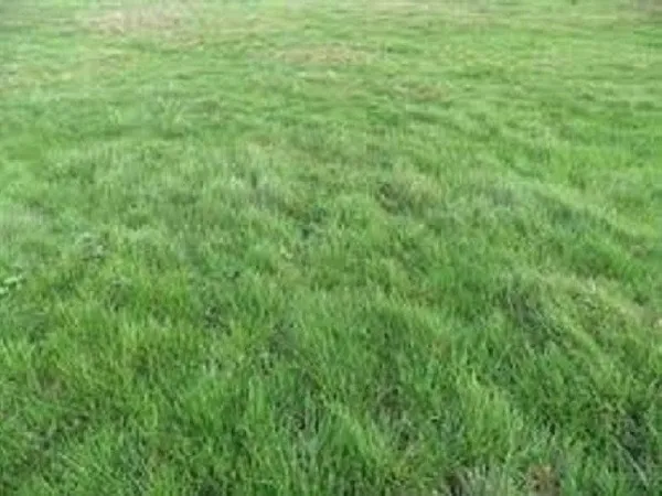 Terrain 513 m²