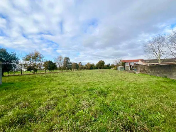 Terrain 785 m²