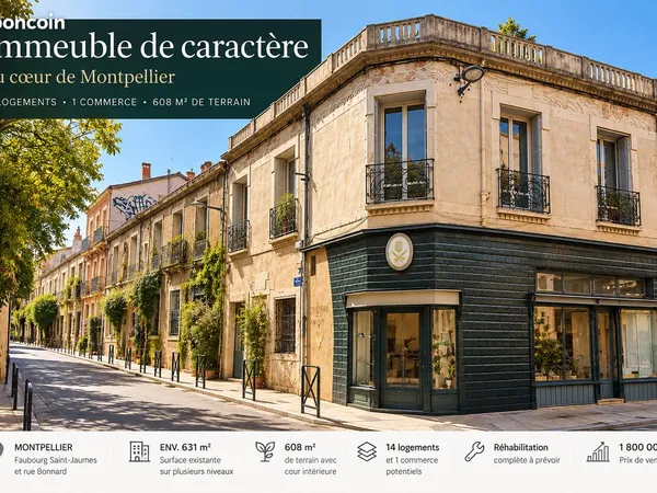 Montpellier centre historique - ensemble immobilier de caractère - opportunité rare