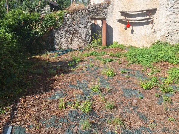 Location jardin potager