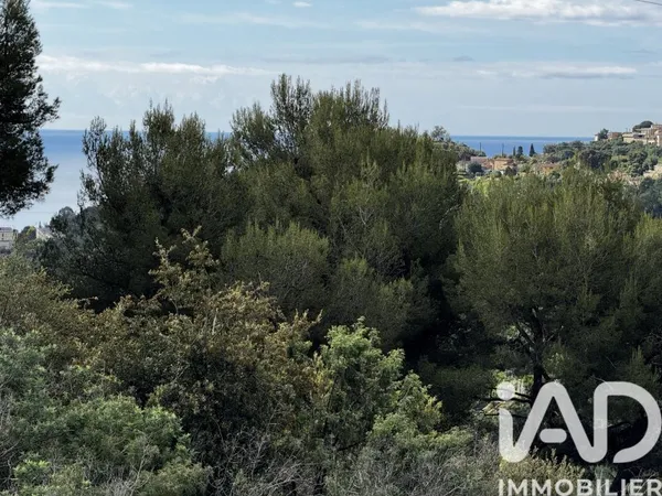 Terrain 3117 m²