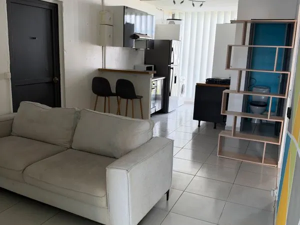 Colocation 3 chambres