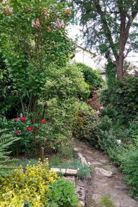 Photo 5