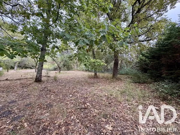 Terrain 705 m²