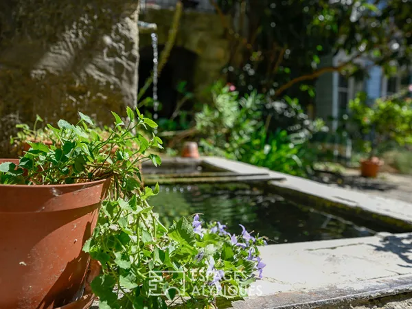 Belle provençale et son commerce au coeur de Saignon