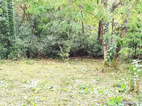 Terrain 558 m² Pessac