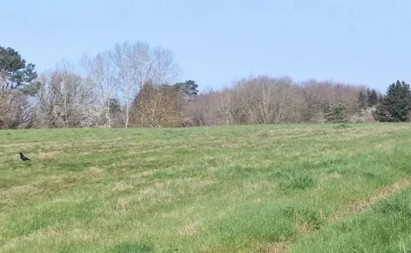 Terrain 500 m²