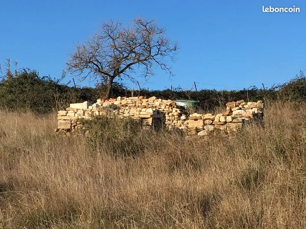 Grand terrain agricole avec puits