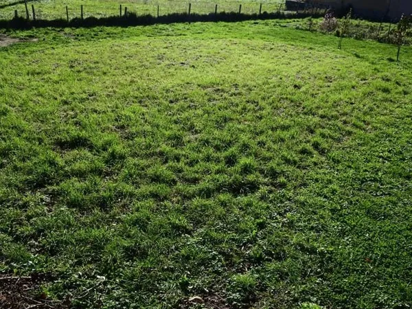 Terrain constructible
